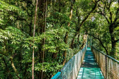 Cloudforest, Monteverde, Kosta Rika Bridge'de asılı.