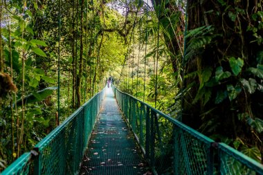 Cloudforest - Kosta Rika Bridge'de asılı