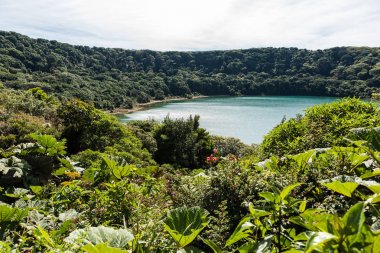 Göl yunuslar, vulcano Poas Kosta Rika