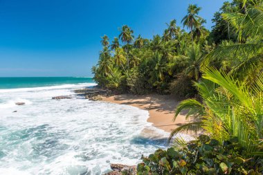 Vahşi Karayipler beach, Manzanillo, Puerto Viejo, Kosta Rika