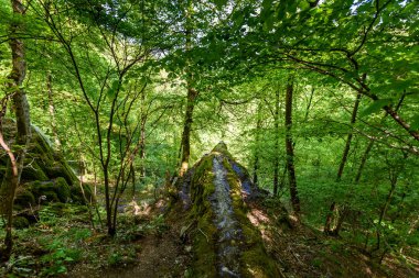 Guetersteiner şelale Çerkes, Swabian Alb, Baden-Württemberg, Almanya.