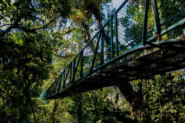 Cloudforest, Monteverde, Kosta Rika Bridge'de asılı.
