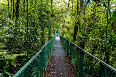 Cloudforest, Monteverde, Kosta Rika Bridge'de asılı.