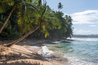 Vahşi Cennet plaj Manzanillo Park Kosta Rika