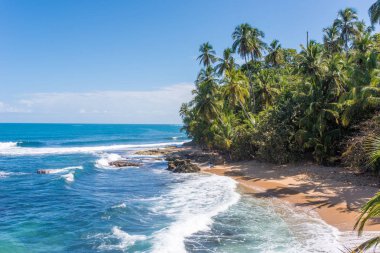 Vahşi Karayipler beach, Manzanillo, Puerto Viejo, Kosta Rika