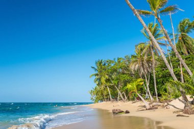 Kosta Rika Punta Uva Beach'te vahşi Karayip kıyılarında ile.