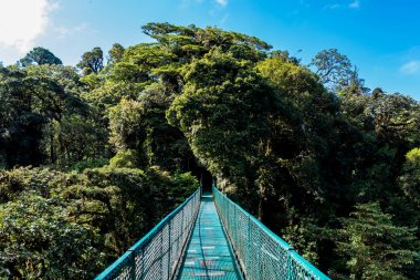 Cloudforest - Kosta Rika Bridge'de asılı