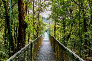 Cloudforest, Monteverde, Kosta Rika Bridge'de asılı.