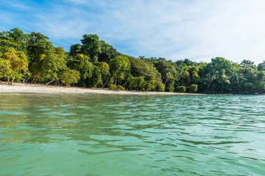 Tropikal plaj içinde Manuel Antonio Milli Parkı, Costa Rica.