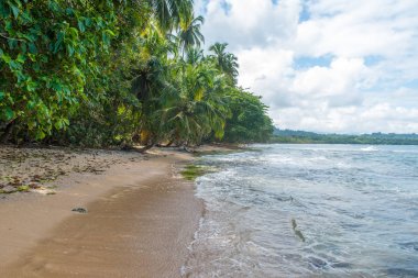 Vahşi Cennet plaj Manzanillo Park Kosta Rika