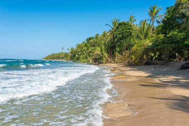 Kosta Rika Punta Uva Beach'te vahşi Karayip kıyılarında ile.