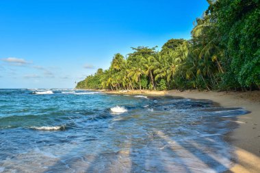 Vahşi Cennet plaj Manzanillo Park Kosta Rika
