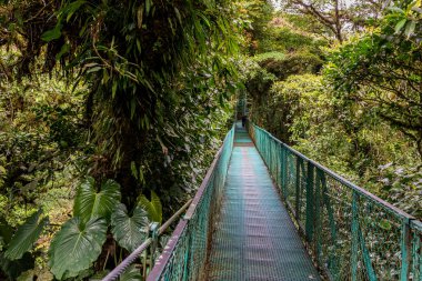 Cloudforest, Monteverde, Kosta Rika Bridge'de asılı.