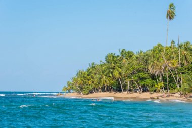 Kosta Rika Punta Uva Beach'te vahşi Karayip kıyılarında ile.