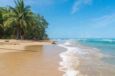 Playa Chiquita - vahşi beach yakın Puerto Viejo, Kosta Rika.