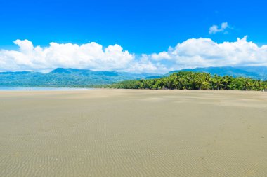 Marino Ballena Milli Parkı plaj ve tropikal orman içinde Punta Uvita, Kosta Rika ile.