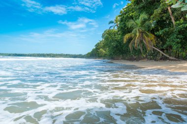 Cahuita - paradise plajları ve Kosta Rika yağmur ormanları ile milli park.