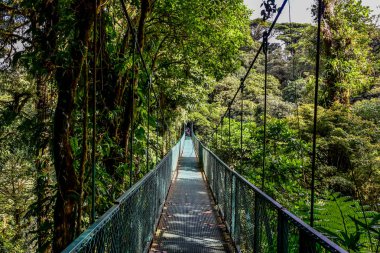 Cloudforest - Kosta Rika Bridge'de asılı