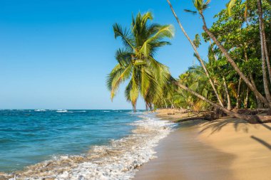 Kosta Rika Punta Uva Beach'te vahşi Karayip kıyılarında ile.