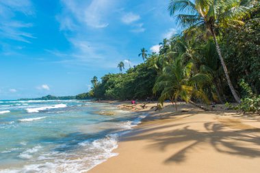 Playa Chiquita - vahşi beach yakın Puerto Viejo, Kosta Rika.