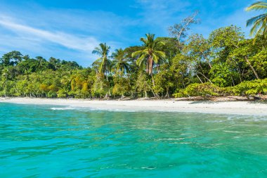 Tropikal plaj içinde Manuel Antonio Milli Parkı, Costa Rica.
