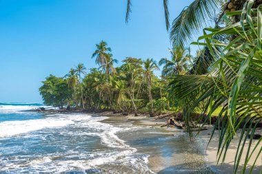 Playa Negra - siyah beach adlı Cahuita, Limon, Kosta Rika.