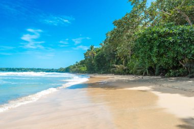 Cahuita - paradise plajları ve Kosta Rika yağmur ormanları ile milli park.