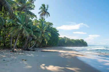 Kosta Rika Punta Uva Beach'te vahşi Karayip kıyılarında ile.