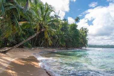 Vahşi Cennet plaj Manzanillo Park Kosta Rika