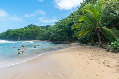 Playa Chiquita - vahşi beach yakın Puerto Viejo, Kosta Rika.