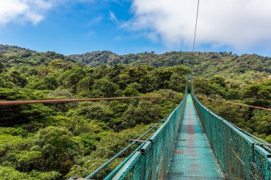 Hanging Bridge in Cloudforest, Monteverde, Costa Rica. clipart