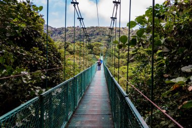 Cloudforest, Monteverde, Kosta Rika Bridge'de asılı.