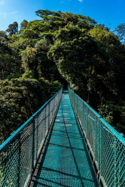 Cloudforest, Monteverde, Kosta Rika Bridge'de asılı.