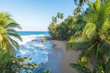 Vahşi Karayipler beach, Manzanillo, Puerto Viejo, Kosta Rika