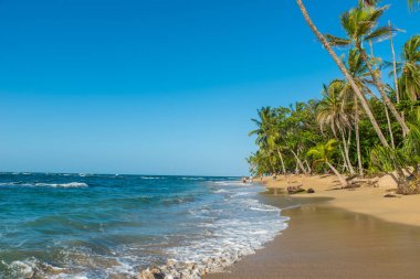 Kosta Rika Punta Uva Beach'te vahşi Karayip kıyılarında ile.