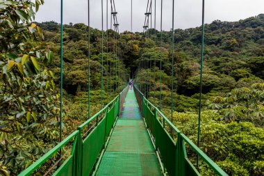 Cloudforest, Monteverde, Kosta Rika Bridge'de asılı.