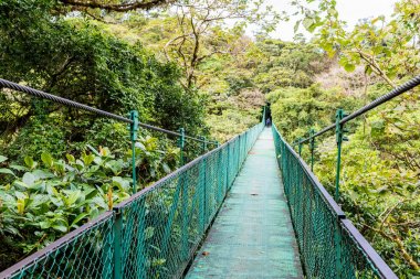 Cloudforest, Monteverde, Kosta Rika Bridge'de asılı.