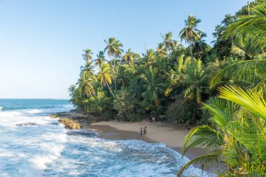 Vahşi Karayipler beach, Manzanillo, Puerto Viejo, Kosta Rika