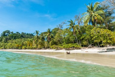 Tropikal plaj içinde Manuel Antonio Milli Parkı, Costa Rica.