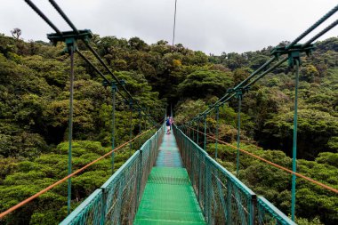 Cloudforest, Monteverde, Kosta Rika Bridge'de asılı.