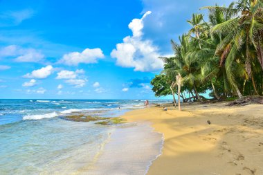 Playa Cocles - tropikal plaj yakın Puerto Viejo, Kosta Rika.