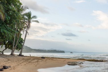 Playa Cocles - tropikal plaj yakın Puerto Viejo, Kosta Rika.