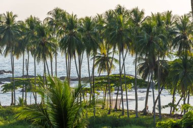 Kosta Rika 'da Playa Hermosa - Pasifik Sahili