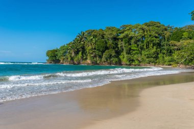 Kosta Rika Punta Uva Beach'te vahşi Karayip kıyılarında ile.