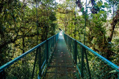 Cloudforest, Monteverde, Kosta Rika Bridge'de asılı.
