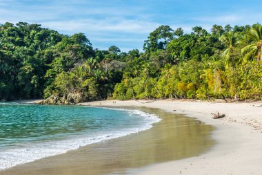 Tropikal plaj içinde Manuel Antonio Milli Parkı, Costa Rica.