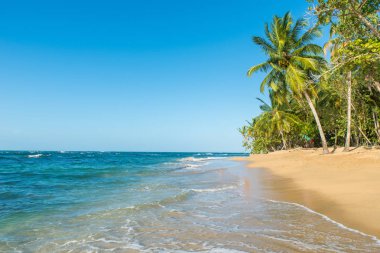 Kosta Rika Punta Uva Beach'te vahşi Karayip kıyılarında ile.