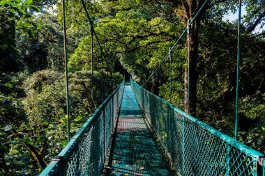 Cloudforest, Monteverde, Kosta Rika Bridge'de asılı.