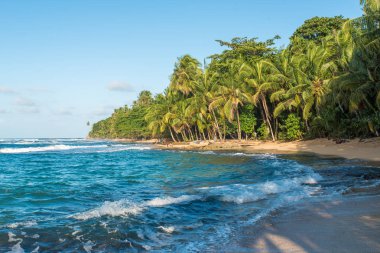 Vahşi Cennet plaj Manzanillo Park Kosta Rika
