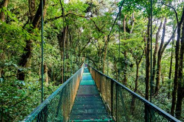 Cloudforest, Monteverde, Kosta Rika Bridge'de asılı.
